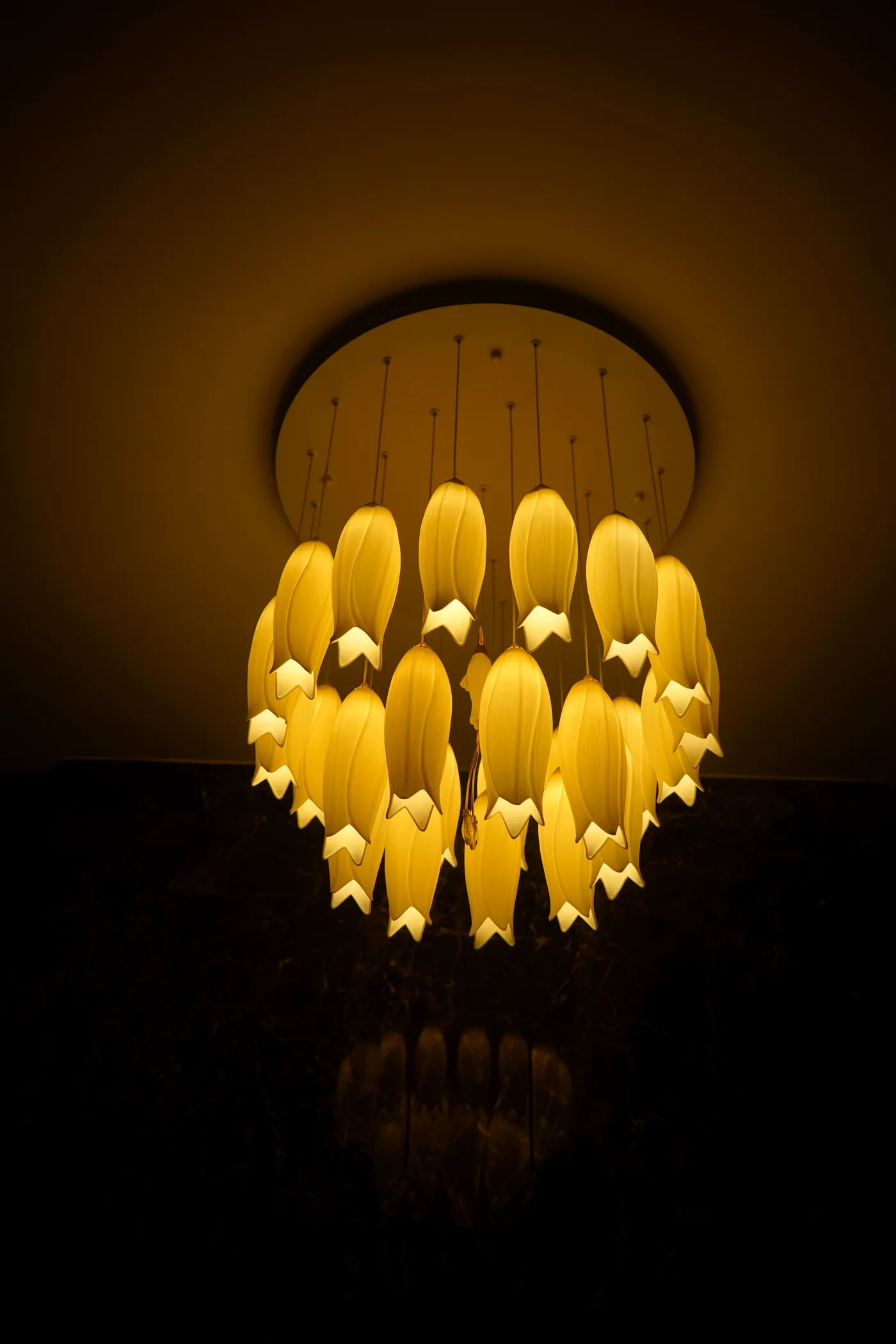 Residence 23 — photo 15